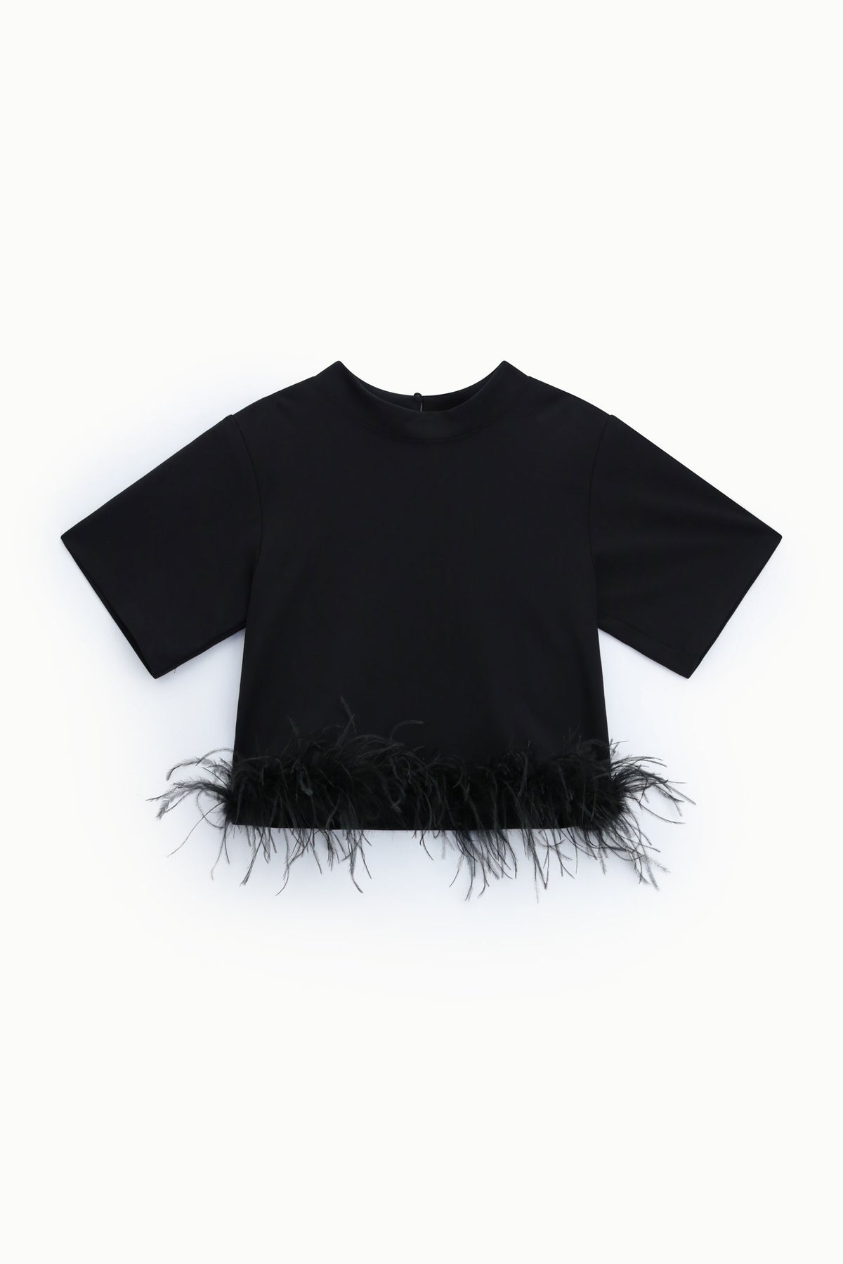 T-shirt crop con bordatura piume decorative