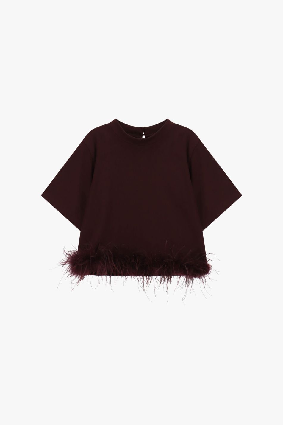 T-shirt crop con bordatura piume decorative