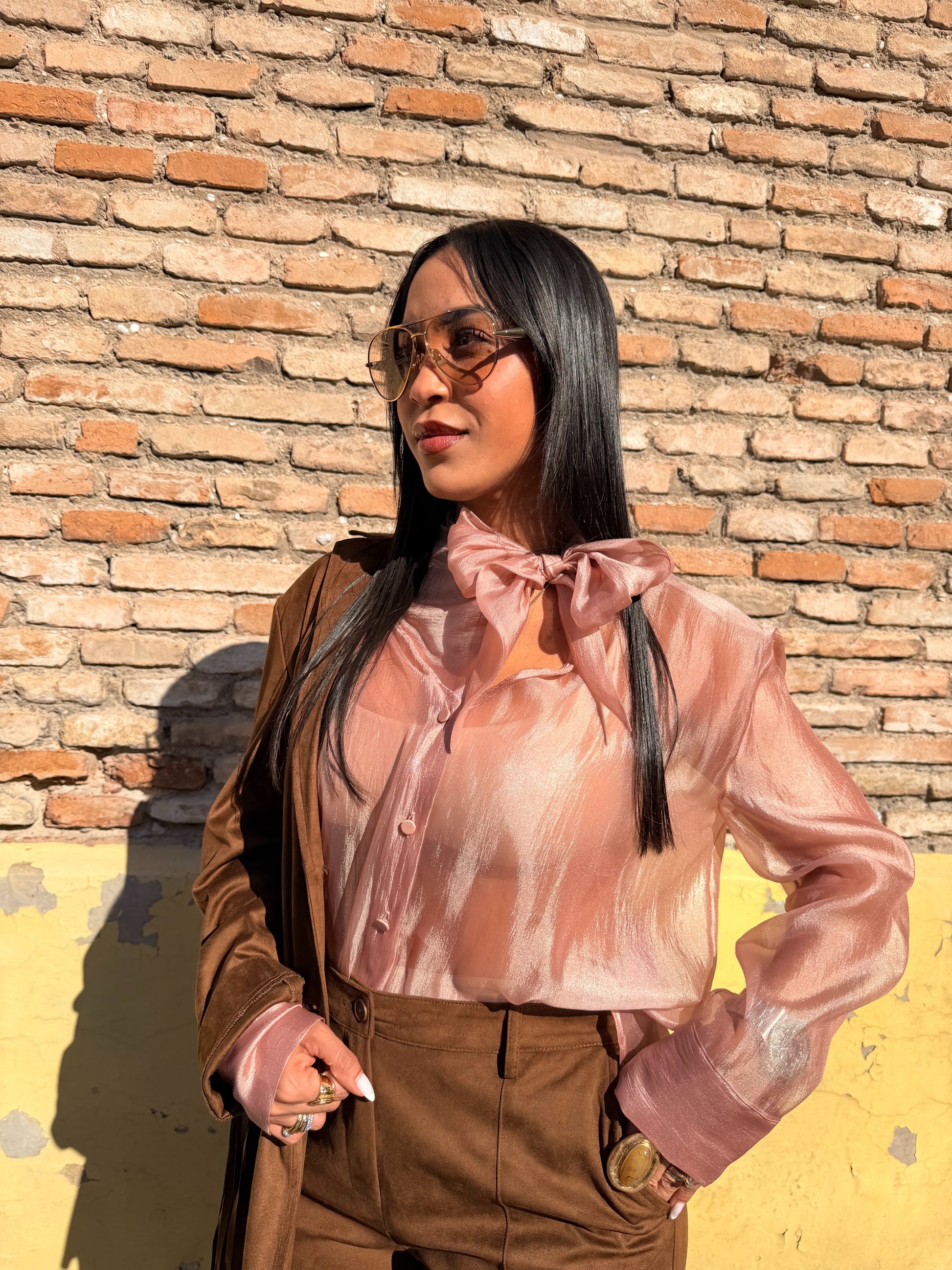 Camicia trasparente con maniche lunghe e fiocco
